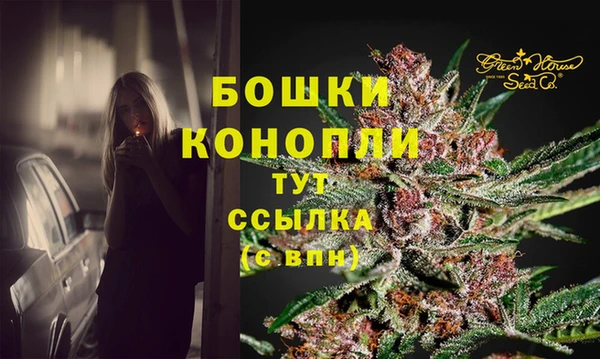 спиды Елабуга
