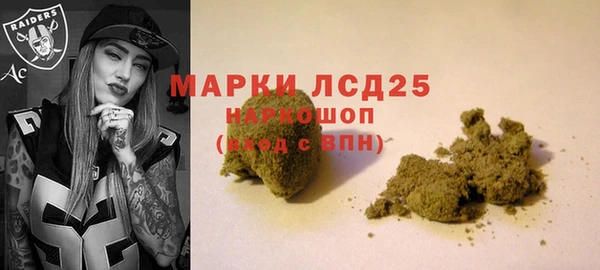 винт Елизово