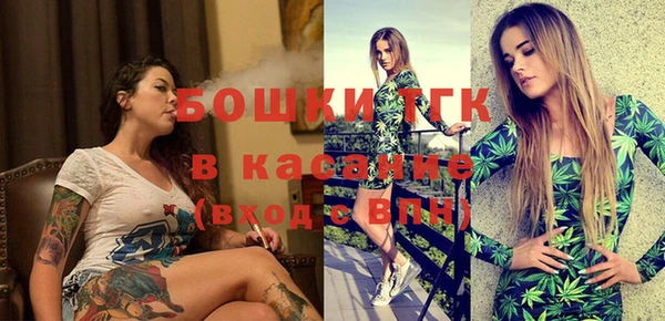 spice Ельня