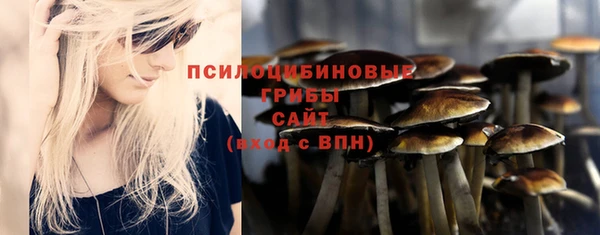 винт Елизово