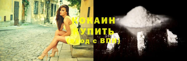 винт Елизово