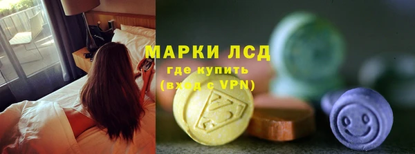spice Ельня