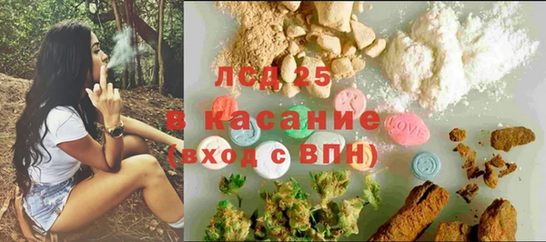 винт Елизово