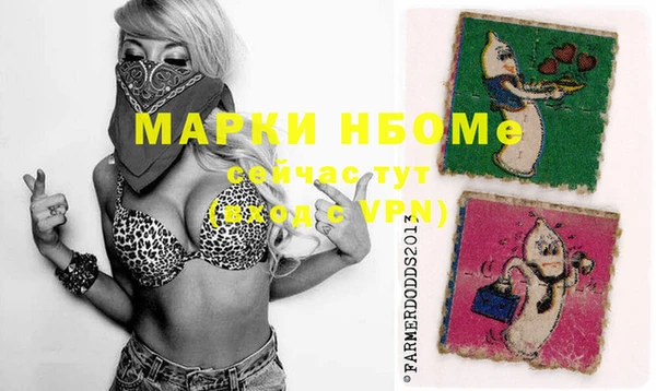 винт Елизово