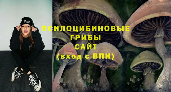 спиды Елабуга