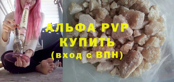 spice Ельня