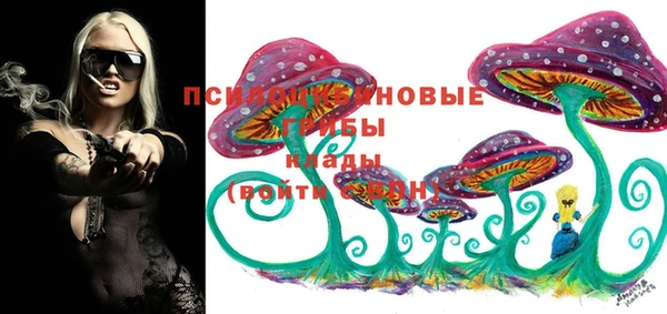 винт Елизово