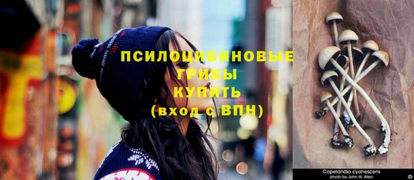 spice Ельня
