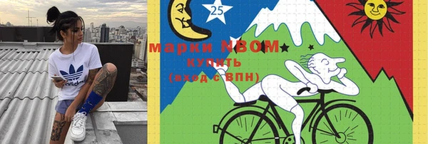 винт Елизово